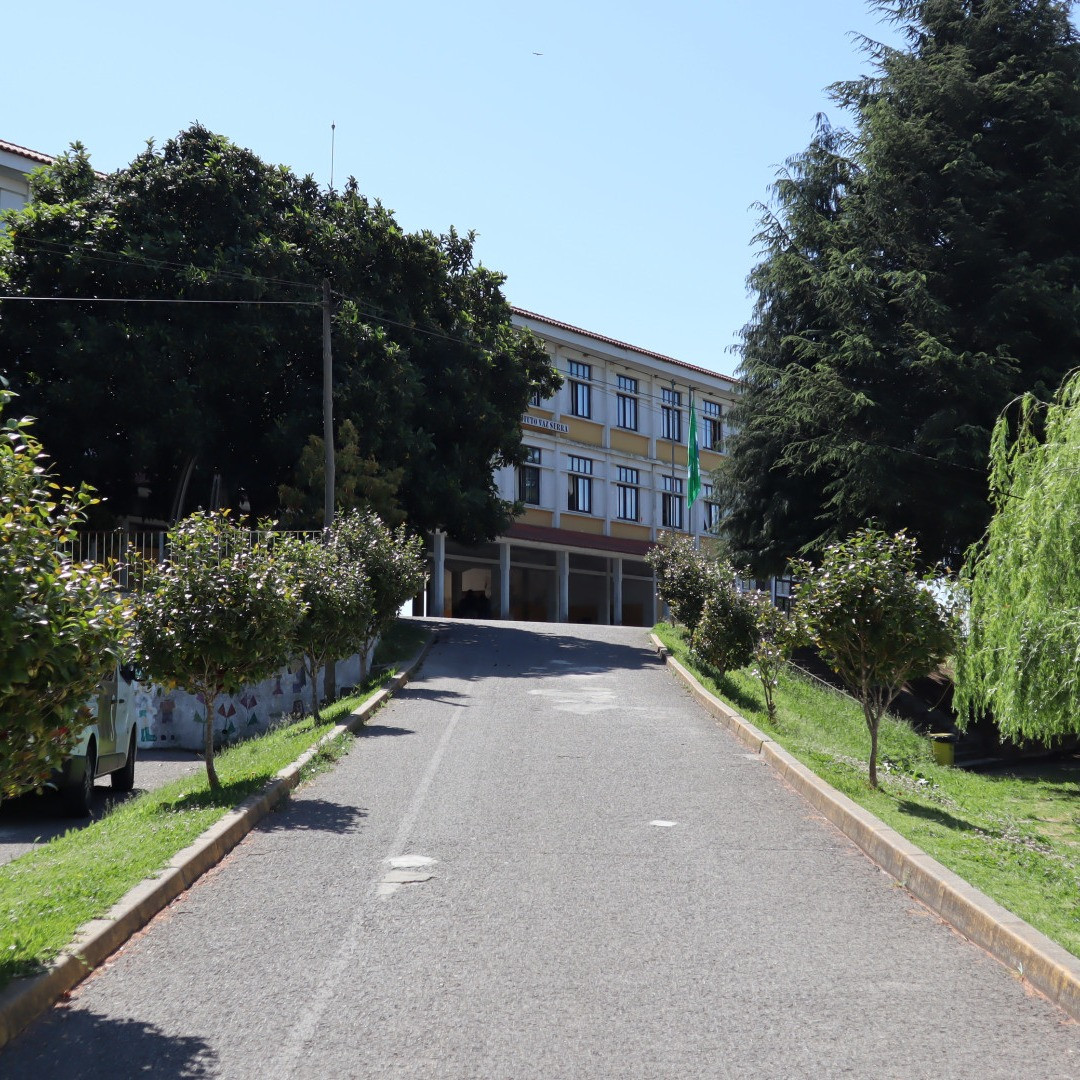 Instituto Vaz Serra Informa sobre Retoma das Aulas